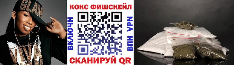 COCAIN Fish Scale  Купить закладки  Выборг 