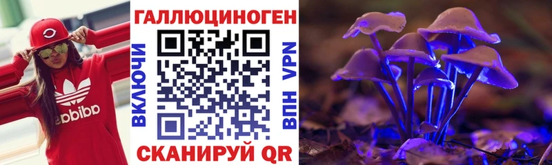 Купить закладки Выборг Псилоцибиновые грибы Magic Shrooms